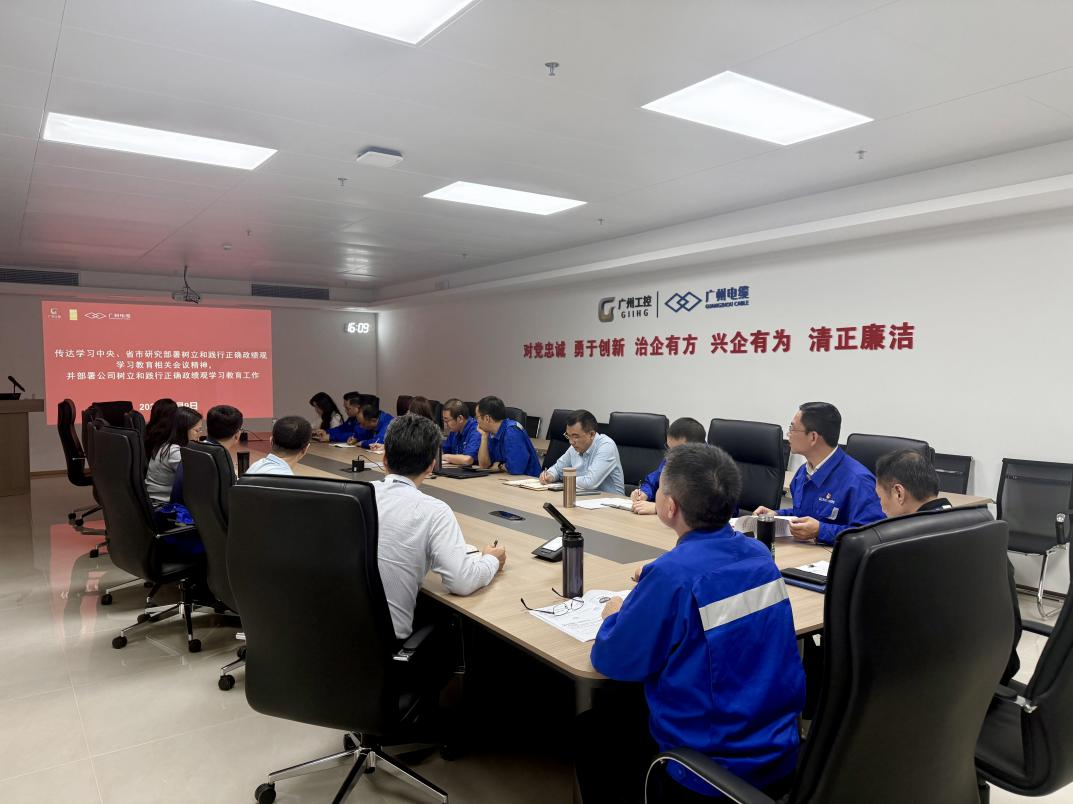 广州电缆召开树立和践行正确政绩观学习教育工作部署会(图1)